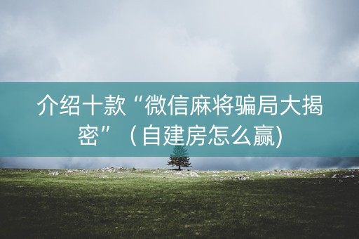 介绍十款“微信麻将骗局大揭密”（自建房怎么赢)