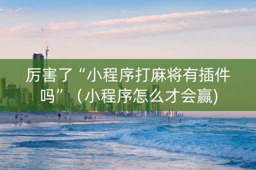 厉害了“小程序打麻将有插件吗”（小程序怎么才会赢)