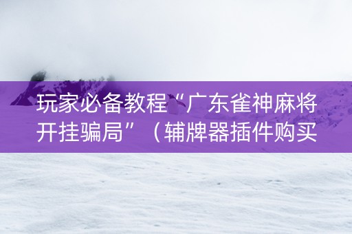 玩家必备教程“广东雀神麻将开挂骗局”（辅牌器插件购买)