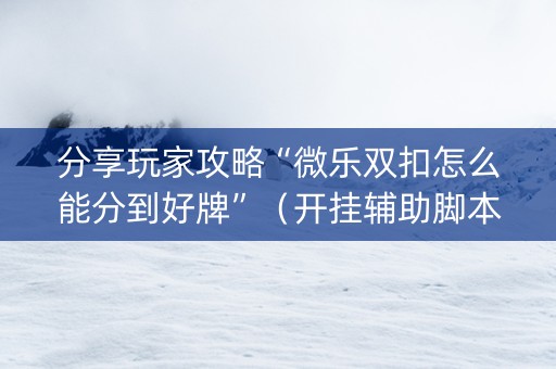 分享玩家攻略“微乐双扣怎么能分到好牌”（开挂辅助脚本)