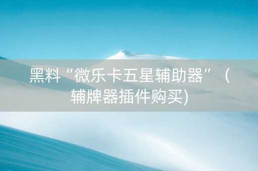 黑料“微乐卡五星辅助器”（辅牌器插件购买)
