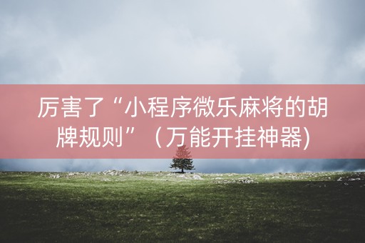 厉害了“小程序微乐麻将的胡牌规则”（万能开挂神器)