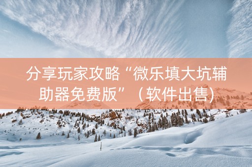 分享玩家攻略“微乐填大坑辅助器免费版”（软件出售)