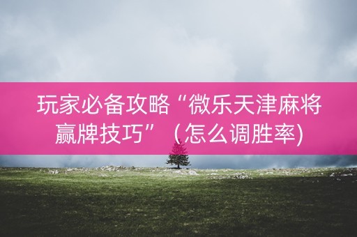 玩家必备攻略“微乐天津麻将赢牌技巧”（怎么调胜率)