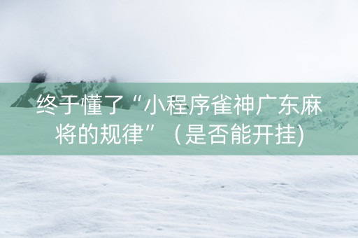 终于懂了“小程序雀神广东麻将的规律”（是否能开挂)