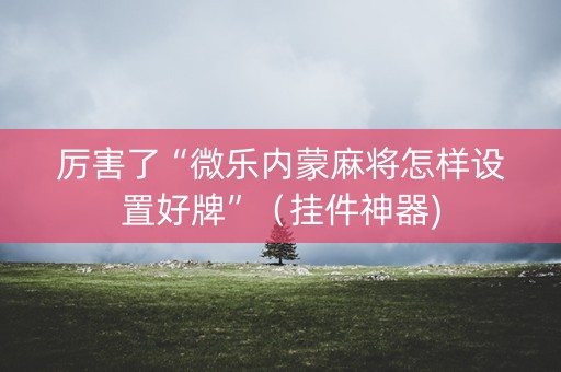 厉害了“微乐内蒙麻将怎样设置好牌”（挂件神器)