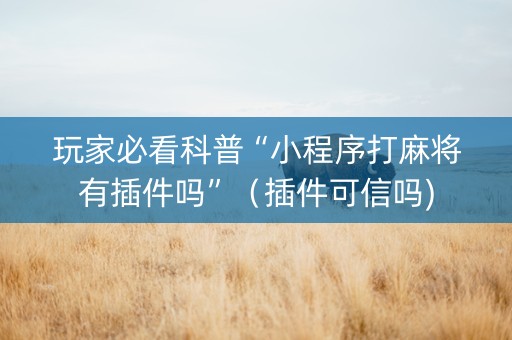 玩家必看科普“小程序打麻将有插件吗”（插件可信吗)
