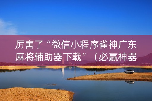 厉害了“微信小程序雀神广东麻将辅助器下载”（必赢神器)