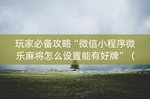 玩家必备攻略“微信小程序微乐麻将怎么设置能有好牌”（插件开挂免费AI)