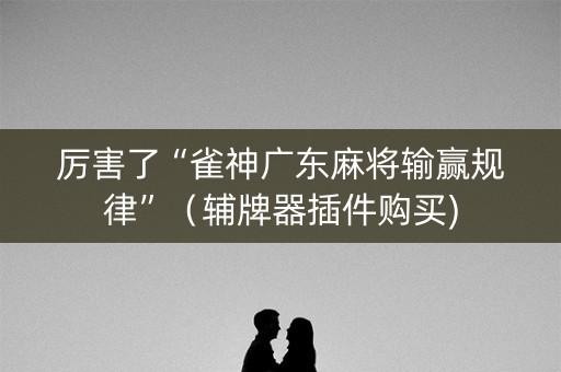厉害了“雀神广东麻将输赢规律”（辅牌器插件购买)
