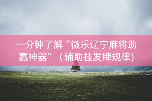 一分钟了解“微乐辽宁麻将助赢神器”（辅助挂发牌规律)