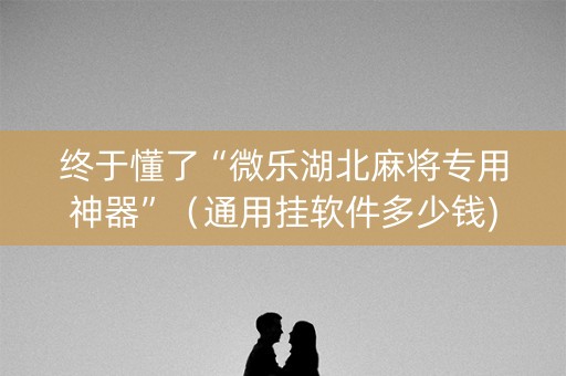 终于懂了“微乐湖北麻将专用神器”（通用挂软件多少钱)