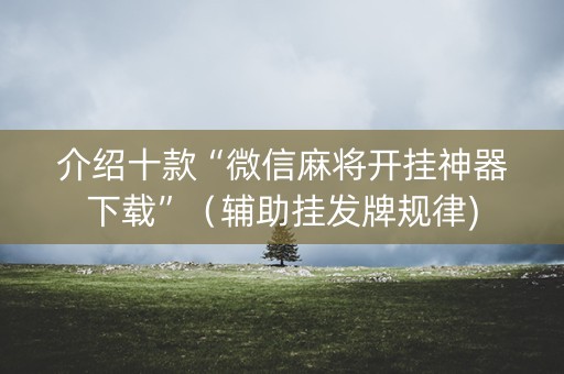 介绍十款“微信麻将开挂神器下载”（辅助挂发牌规律)