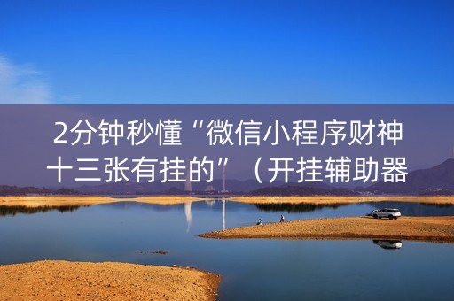 2分钟秒懂“微信小程序财神十三张有挂的”（开挂辅助器插件)