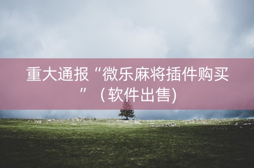 重大通报“微乐麻将插件购买”（软件出售)