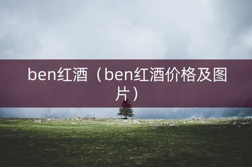ben红酒（ben红酒价格及图片）