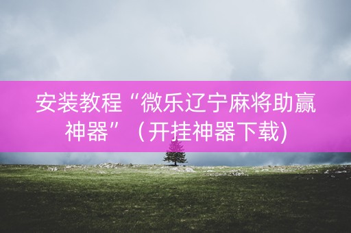 安装教程“微乐辽宁麻将助赢神器”（开挂神器下载)