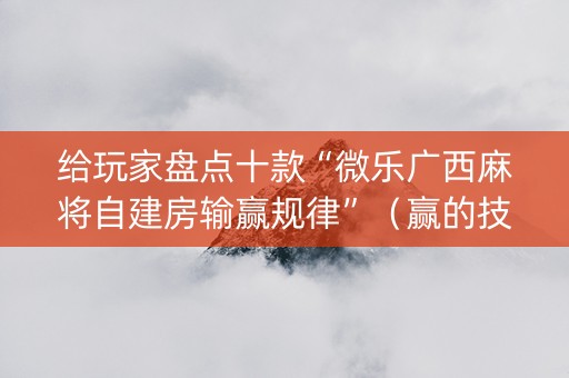 给玩家盘点十款“微乐广西麻将自建房输赢规律”（赢的技巧规律)