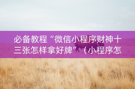 必备教程“微信小程序财神十三张怎样拿好牌”（小程序怎么才会赢)