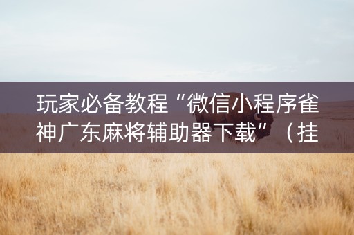 玩家必备教程“微信小程序雀神广东麻将辅助器下载”（挂件神器)