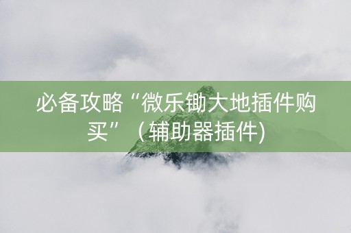 必备攻略“微乐锄大地插件购买”（辅助器插件)
