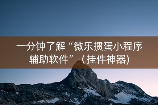 一分钟了解“微乐掼蛋小程序辅助软件”（挂件神器)