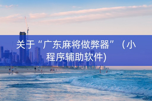 关于“广东麻将做弊器”（小程序辅助软件)