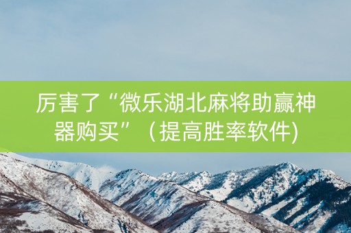 厉害了“微乐湖北麻将助赢神器购买”（提高胜率软件)