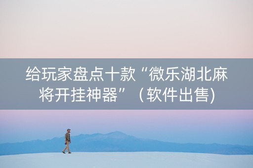 给玩家盘点十款“微乐湖北麻将开挂神器”（软件出售)
