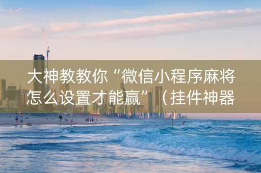 大神教教你“微信小程序麻将怎么设置才能赢”（挂件神器)