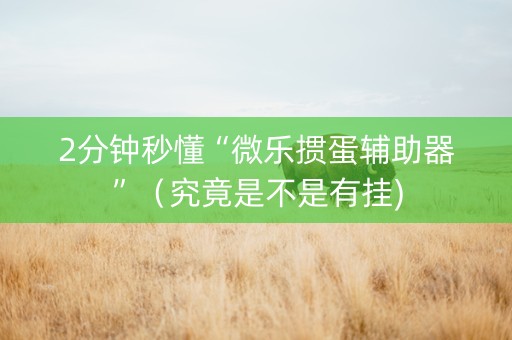 2分钟秒懂“微乐掼蛋辅助器”（究竟是不是有挂)
