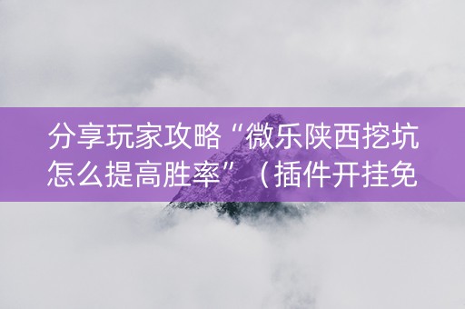 分享玩家攻略“微乐陕西挖坑怎么提高胜率”（插件开挂免费AI)