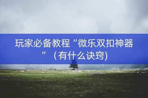 玩家必备教程“微乐双扣神器”（有什么诀窍)