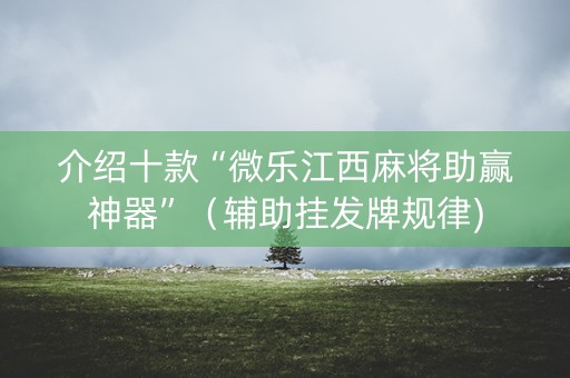 介绍十款“微乐江西麻将助赢神器”（辅助挂发牌规律)