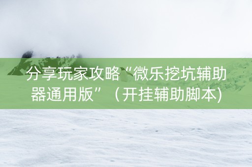 分享玩家攻略“微乐挖坑辅助器通用版”（开挂辅助脚本)