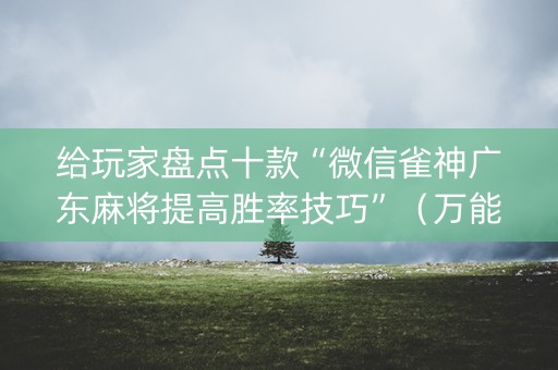 给玩家盘点十款“微信雀神广东麻将提高胜率技巧”（万能开挂器)