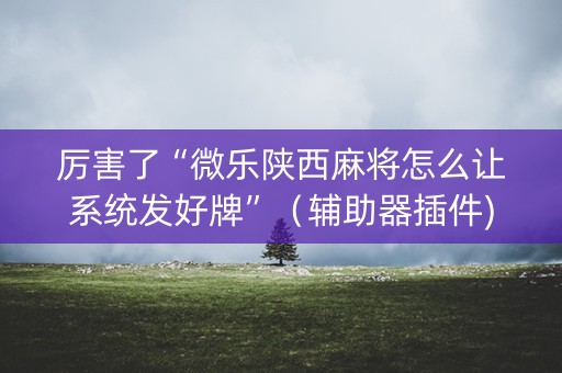 厉害了“微乐陕西麻将怎么让系统发好牌”（辅助器插件)