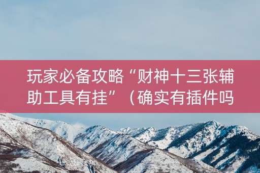 玩家必备攻略“财神十三张辅助工具有挂”（确实有插件吗)