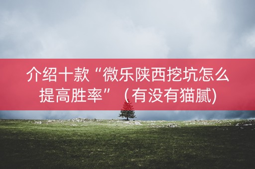 介绍十款“微乐陕西挖坑怎么提高胜率”（有没有猫腻)