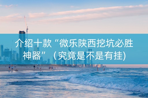 介绍十款“微乐陕西挖坑必胜神器”（究竟是不是有挂)