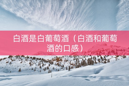 白酒是白葡萄酒（白酒和葡萄酒的口感）
