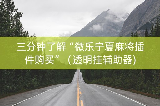 三分钟了解“微乐宁夏麻将插件购买”（透明挂辅助器)