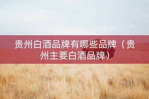 贵州白酒品牌有哪些品牌（贵州主要白酒品牌）