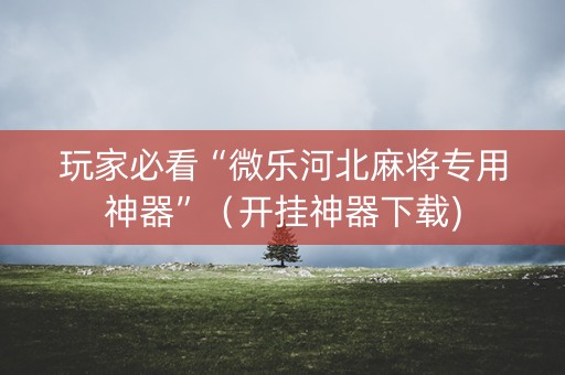 玩家必看“微乐河北麻将专用神器”（开挂神器下载)