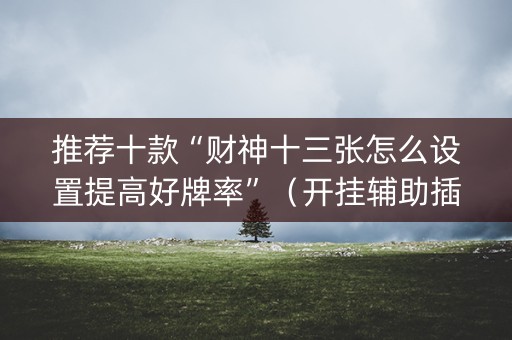 推荐十款“财神十三张怎么设置提高好牌率”（开挂辅助插件)