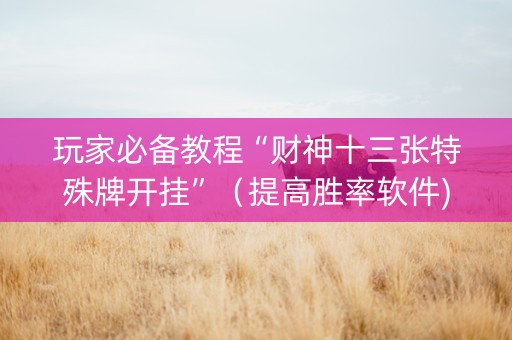 玩家必备教程“财神十三张特殊牌开挂”（提高胜率软件)