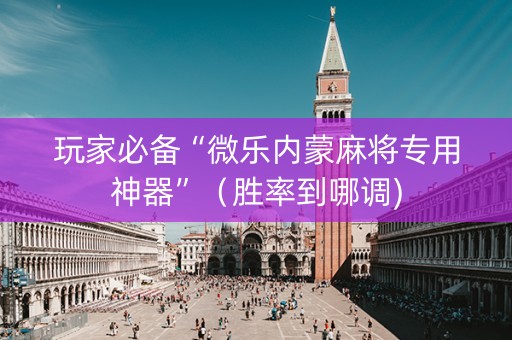 玩家必备“微乐内蒙麻将专用神器”（胜率到哪调)