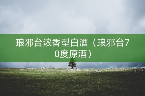 琅邪台浓香型白酒（琅邪台70度原酒）