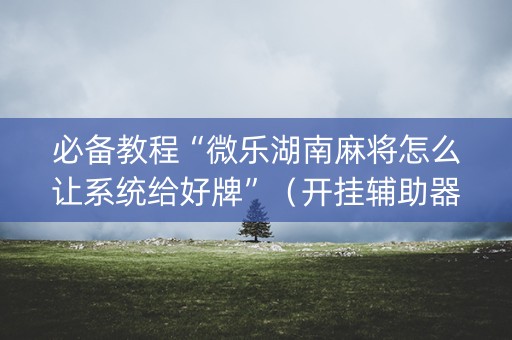 必备教程“微乐湖南麻将怎么让系统给好牌”（开挂辅助器插件)