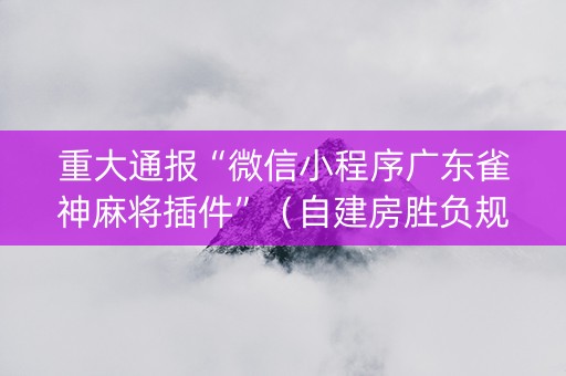 重大通报“微信小程序广东雀神麻将插件”（自建房胜负规律)